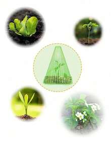 Lồng kính trồng cây tái sử dụng | Lồng kính trồng cây có lỗ thông hơi xoay được để bảo vệ cây khỏi ánh nắng mặt trời và động vật, ốc sên | - Nhiều kiểu dáng - Xem 8