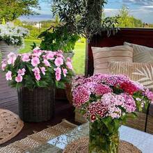 1束/5枝人造满天星，丝绸花，仿真植物，适用于家居、花园、门廊、室内/室外装饰、花环、婚礼装饰 - 粉色 - 查看 4