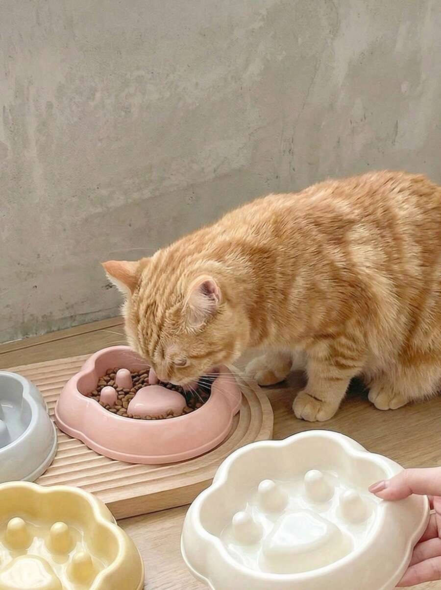 1 件宠物慢食碗，狗/猫食盘