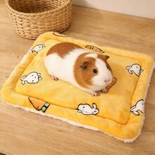 1pc Cute Cartoon Hamster Pet Mat, Thick Pad Suitable For Hamster, Mouse, Guinea Pig And Other Small Pets - Multicolor - View 4