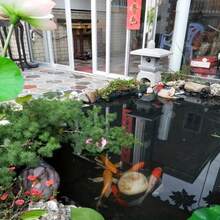 PALUDO PVC防水池塘衬垫，耐用黑色柔软结实预制池塘衬垫，适用于鱼塘、瀑布、花园喷泉、庭院瀑布 - 1件防漏膜 - 查看 10