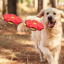 1 Pet Toy Ball - Variable Toy Disc - Dog Toy Disc - Suitable For Interaction And Play With Dogs, Cats, Outdoor Games. Dog Ball Is Suitable For Small, Medium And Large Dogs. Portable Creative Disc Ball, Treadable Magic Ball. Suitable For Outdoor Pet Activities. - Multicolor - View 4