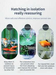 1pc PVC Material Fish Breeding Box, Double-Layer Transparent Fish Breeding Isolation Box, Hatchery Aquarium Spawning Tank - Clear - View 6