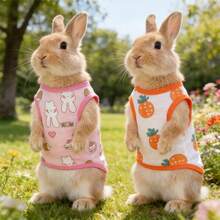 1pc Spring/Summer Cartoon Outdoor Pet Cooling Vest, Breathable & Cool Design, Suitable For Rabbits & Small Pets, Home & Outdoor Cooling Vest - Multicolor - View 2