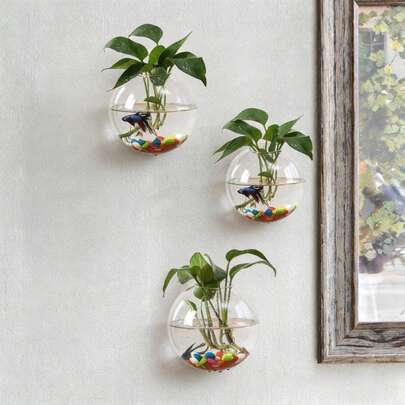 3 chiếc bình hoa thủy tinh tròn trong suốt treo tường, bể cá treo tường sáng tạo, chậu trồng cây thủy canh treo tường, trang trí nhà cửa.