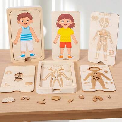 Kids Educational Multilayer Human Body Puzzle, Cognitive Developmental Toy For Early Learning, Anatomy Structure, Organs, Skeleton