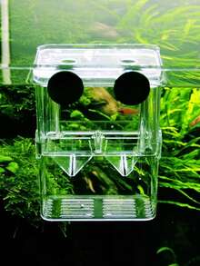 1pc PVC Material Fish Breeding Box, Double-Layer Transparent Fish Breeding Isolation Box, Hatchery Aquarium Spawning Tank - Clear - View 8