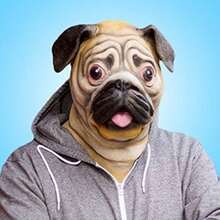 Special New Latex Full Head Overhead Animal Cute Bulldog  For  Festival Halloween Easter Or Dance Party - As Pic - View 5