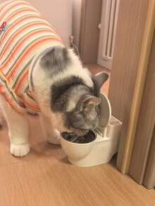 Pet Water Dispenser, Cat/Dog Water Bowl, Pet Toilet, Cat/Dog Bowl, Interesting - 300ml - View 4