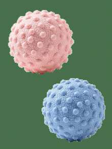 Massage Ball Foot Massager Body Fascia Muscle Relaxation Legs Hand Legs Massage Roller Yoga Fitness Health Care Tool - 多色 - 查看 6