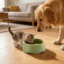 2-In-1 Convertible Slow Feeder Dog Bowl, Regular And Slow Mode For Fast Eaters, Anti-Bloat, Interactive Puzzle, Non-Slip For Small Medium Large Breed Dogs, Cats, Puppies, Pets, Matcha Green - 2公升 - 查看 9