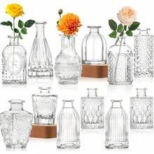 Vases - Transparent, 12 pièces - Voir 12