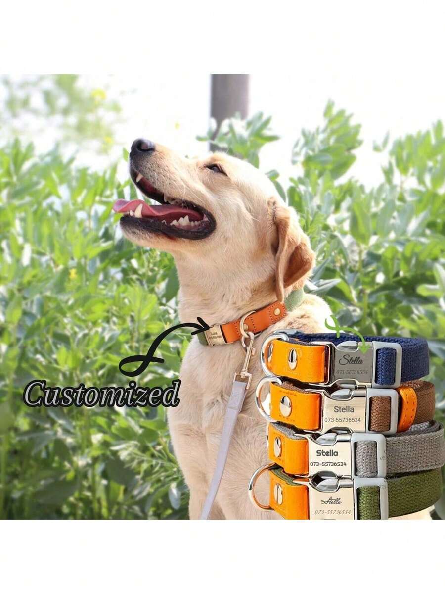 Vòng cổ phản quang cho chó có thể điều chỉnh độ phản quang. Vòng cổ khắc tên và số điện thoại theo yêu cầu. Mùa tựu trường. - Nhiều màu - Xem 1