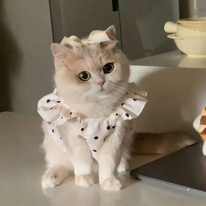 Sombrero lindo para mascotas gato/perro, accesorio divertido para la cabeza, artículos para gatos, perros pequeños, ropa para gatos, accesorio suave para mascotas pequeñas, adecuado para gatos y cachorros, suministros para cachorros