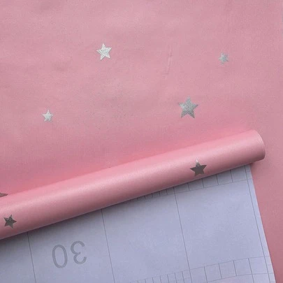 1卷公主粉色星星儿童房壁纸，自粘式家居装饰壁纸，适用于卧室、客厅、餐厅、浴室、办公室，可移除乙烯基接触式壁纸，防水、可水洗、隔音，豪华平面贴纸，方便家居装饰、电视背景墙、橱柜、梳妆台、盥洗柜等。