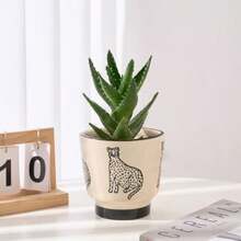 Macetas de cerámica de 5 pulgadas para plantas de interior divertidas macetas pequeñas con drenaje macetas decorativas únicas y lindas y macetas redondas - Pantera beige - Ver 4