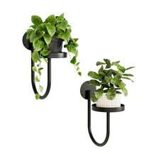 2pcs Hanging Planters For Indoor Plants Wall Plant Holder Plant Hanger Indoor Wall Planters Window Plant Shelves Hanging Plant Holder Window Plant Hanger Plant Decor - U Shape - View 14