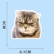 50 miếng dán hình mèo con chống thấm nước, kiểu graffiti, dùng dán lên mũ bảo hiểm, xe đạp, sổ tay, hộp bút, quà tặng dễ thương. - Nhiều màu - Xem 7