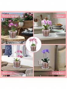 5/10个装 5.5英寸透明兰花盆，带孔，透气开槽塑料兰花盆，带排水孔，有利于根系健康，室内外均可使用（5英寸） - A - 查看 5