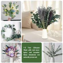 135+ Pcs Mixed Dried Eucalyptus & Lavender Flowers For Shower, Preserved Natural Eucalyptus Leaves For Wall Hanging, Plant Fragrance, Dried Florals For Vase Fillers, Wedding, Green Bathroom Decor - dried flower - 查看 9