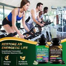 Gwynne Capsules: bienestar integral, pack de 4 unidades, con Sunice, algas marinas, aceite de semilla negra, rodiola, glicina de magnesio e inositol | Diseñado específicamente para hombres y mujeres que desean mejorar su rendimiento físico, fortalecer su sistema inmunitario, equilibrar su sistema endocrino, aliviar el estrés y mejorar el sueño. - Combinación - Ver 4