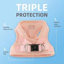 小型及中型犬胸背带，幼犬训练用胸背带和牵引绳套装，犬用胸背带和牵引绳套装，犬用背心式胸背带，小型犬胸背带，小型犬胸背带 - 粉色 - 查看 6