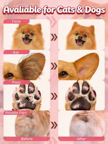 Recortadora de pelo para mascotas USB, afeitadora eléctrica, removedor de pelo de patas de gato y perro, puede recortar las patas, orejas, ojos y el pelo circundante, adecuado para el aseo diario de mascotas, recortadora de pelo de mascota silenciosa - recargable por USB, impermeable, herramienta de aseo para gatos y perros, recortadora eléctrica de bajo ruido, recortadora de pelo de perro, silenciosa, recortadora de pelo de perro con luz LED, afeitadora de patas impermeable, recortadora recargable por USB, para perros, amoladora de uñas profesional - F2 - Ver 6