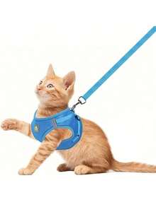 1 Bộ dây nịt cho chó cưng thoải mái mới có dải phản quang, dây đeo ngực lưới thoáng khí có dây xích, thích hợp cho việc đi dạo ngoài trời, nhiều màu sắc và kích cỡ cho chó và mèo - Nhiều màu - Xem 10