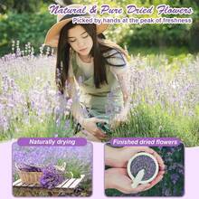 50 Bags Dried Flowers Candle And Soap Making, Variety Dried Herbs Kit For Witch Altar Supplies, Pagan Ritual, Bulk Botanical Lavender Rose Petals Rosemary Ideal For Resin Pressed Flowers DIY Craft - 50 Bags - View 8
