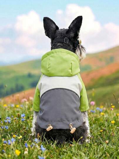 PETCIRCLE 1件宠物室内外两用服装，欧美韩风，适合贵宾犬、泰迪犬、小型犬及幼犬，休闲舒适防风外套 - 浅灰色
