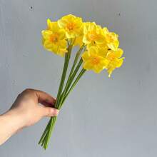 6pcs Artificial Daffodil Flowers, Home Decor Accessories, Floral Arrangement Materials, Suitable For Home Decor, Tabletop Decor, DIY Flower Arrangement, Wedding & Party Decoration, Outdoor Garden Decoration - Multicolor - View 12