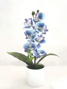 1pc Artificial Phalaenopsis Orchid Potted Plant - White - View 5