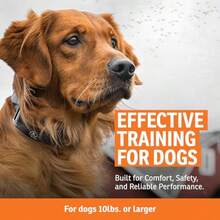 Pet Training Collars - Orange - View 3