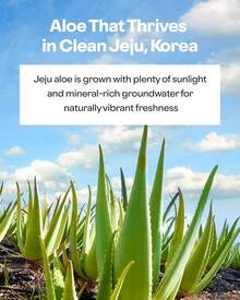 HOLIKA HOLIKA 99% Aloe Vera Soothing Gel 55ml - Refreshing And Non-Sticky, After Sun Care, Dry Skin Moisturizer, Redness Relief, Soothing, Moisturizing, Lightweight Gel Texture, Non-Greasy, Fast Absorbing, Suitable For Face, Body And Hair, Free Of Preservatives And Mineral Oil, Korean Cosmetics, Korean Skincare, Bestseller Aloe Gel, Calming Skin, Cooling Gel, Korean Skincare, Sunburn Care, Summer, Bikini, Swimwear - 99% Aloe Vera Gel - 查看 5