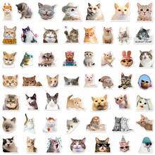 50 miếng dán hình mèo con chống thấm nước, kiểu graffiti, dùng dán lên mũ bảo hiểm, xe đạp, sổ tay, hộp bút, quà tặng dễ thương. - Nhiều màu - Xem 6