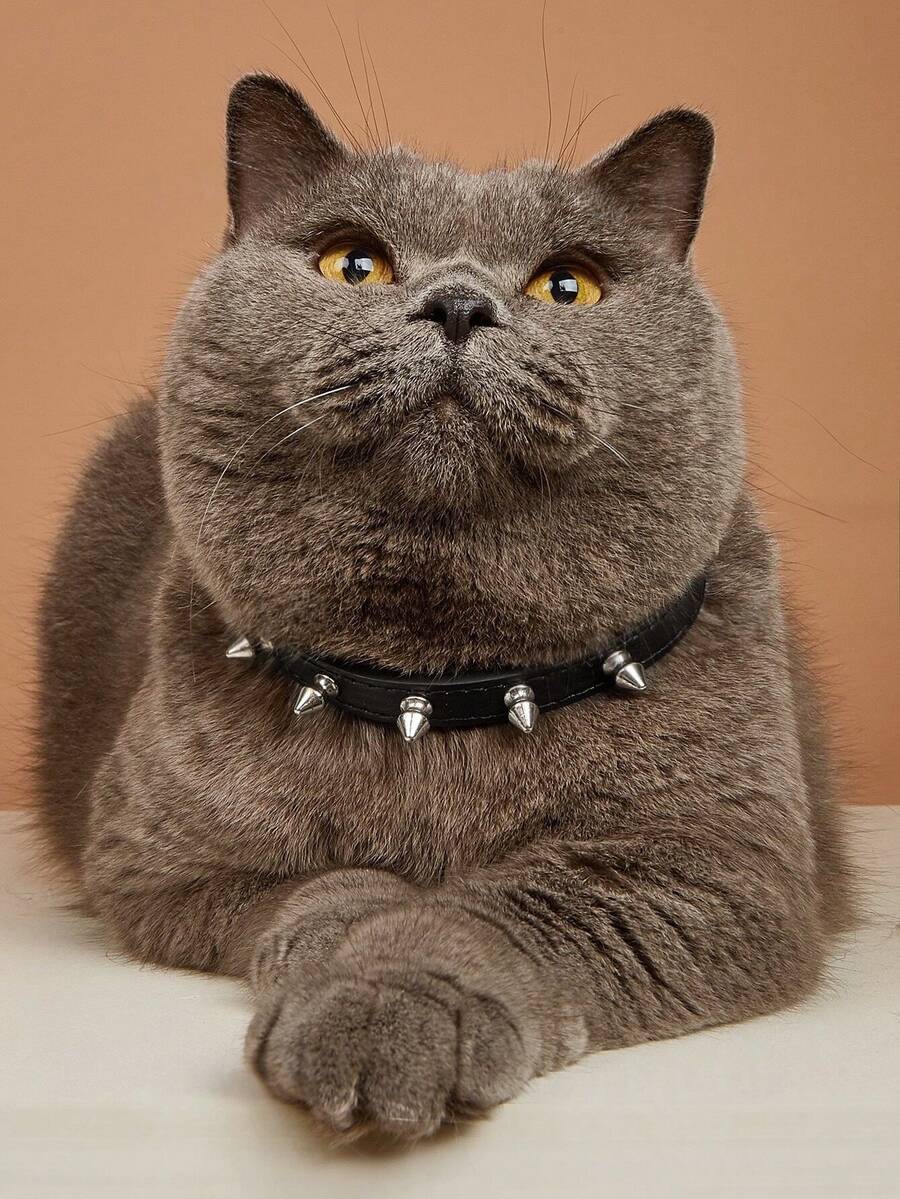 Leather Bullet Rivet Pet Collar Rivet Pet Collar Leather Anti-Bite Accessories - Black - View 1