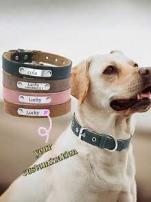 Bộ vòng cổ và dây dắt chó tùy chỉnh, hoàn thiện mờ, vòng cổ thú cưng bằng da khắc chữ bằng thép không gỉ, vòng cổ chống lạc thú cưng. - Nhiều màu - Xem 1