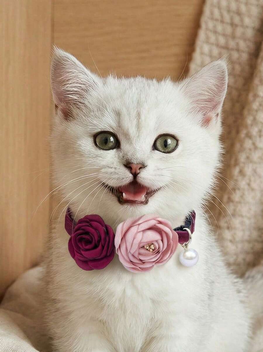 PETSIN Collier pour chat rose réglable 20-30 cm, accessoire de compagnie avec design de fleur de camélia élégante - Multicolore - Voir 1