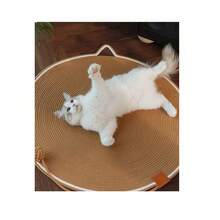 1pc Cat Scratching Board & Ball Combo, Self-Entertainment Sleeping Mat With Cat Hair Collector, Washable Anti-Scratch Cat Toy - 43cm - View 2