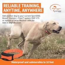 Pet Training Collars - Orange - View 2