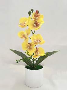 1pc Artificial Phalaenopsis Orchid Potted Plant - White - View 2