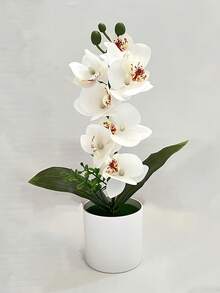 1pc Artificial Phalaenopsis Orchid Potted Plant - White - View 1