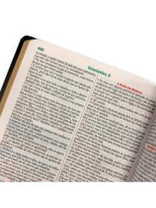 Holy Bible Golden Lion Yeshua - Word Of Jesus In Red - Hard Cover - With Harp And Index - Single Book - View 7