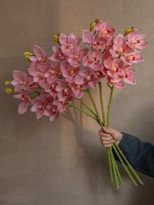 1pc High-End Artificial Phalaenopsis Orchid Flower With 6 Stems, Lifelike Floral Decor For Home And Hotel - Multicolor - View 7