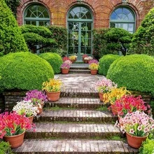 3朵人造塑料花，抗紫外线，不易褪色，适用于窗台、花盆、庭院、室内外装饰。 - 紅色 - 查看 2