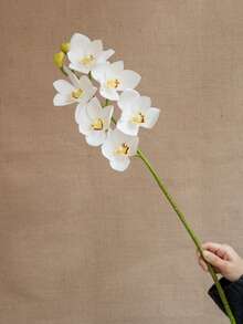 1pc High-End Artificial Phalaenopsis Orchid Flower With 6 Stems, Lifelike Floral Decor For Home And Hotel - Multicolor - View 13