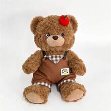 25厘米/9.84英寸摩卡情侣熊毛绒玩具,柔软蓬松,适合作为母亲节、感恩节、毕业典礼、返校礼物送给男孩女孩、家人和朋友。 - 彩色 - 查看 11