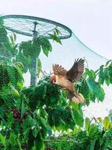 1pc Green Anti-Bird Net, Vegetable & Fruit Anti-Bird & Insect Net, Grape Protection Net, Garden Anti-Bird Net, Protective Net To Flowers, Seedlings, Plants, Suitable For Fruit Trees & Plants, Against Birds, Deer, Squirrels, Etc. - Green - View 3