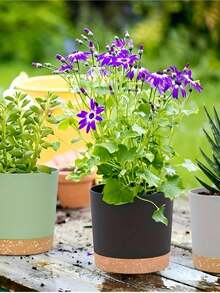 1个花盆，塑料种植盆，植物盆，4.7英寸/6.5英寸，带排水孔和可拆卸内胆，圆形，适用于室内/室外花园种植，适合仙人掌、多肉植物和绿色植物，母亲节礼物，送给朋友的礼物，送给男女朋友的礼物，送给家人的礼物，送给老师的礼物，送给同事的礼物 - 花盆 - 查看 5