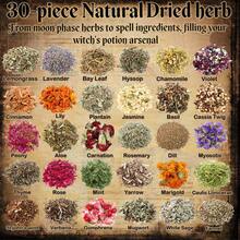 30 Jars Witchcraft Herbs Kit For Beginners, Wiccan Altar Supplies With Crystal Spoon, Feather Pen, Herbal Guidebook & Parchments, Magic Spell Herbs Set For Pagan Ceremonies, Witchcraft Gifts For Women - 30 Jars - 查看 6